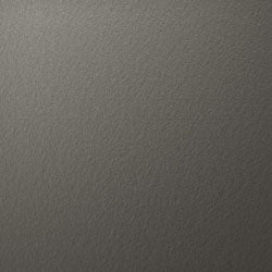 Berlin Gardens Vida Poly Dining Chair