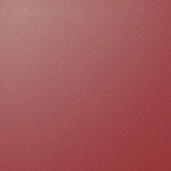 Berlin Gardens Vida Poly Dining Chair