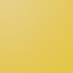 Berlin Gardens Vida Poly Dining Chair