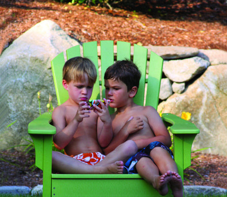 Seaside Casual Adirondack Shellback Chair - SC-018 2