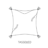 Berlin Gardens 20" x 20" Throw Pillow Tasseled Fiber